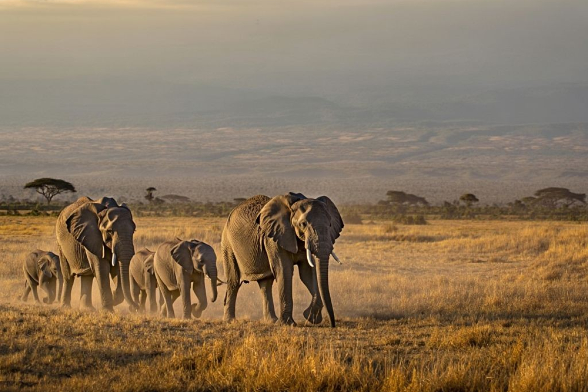 Kenya Autentico 8 giorni Partenze 2026